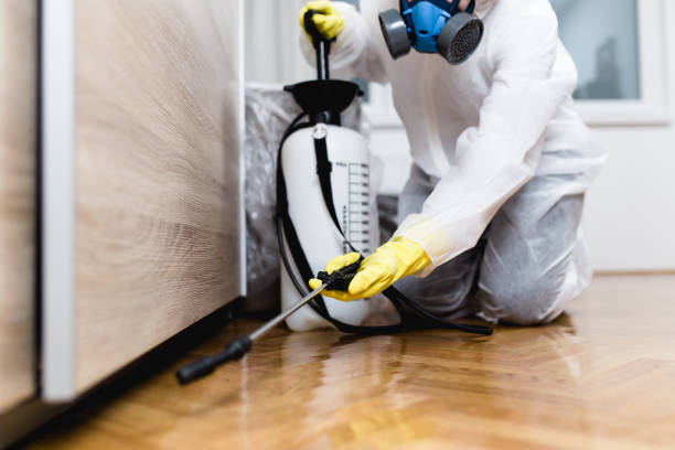 Insect Control in Brewster Heights, NY