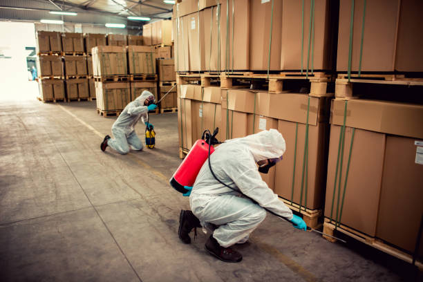 Best Pest Removal Services  in Brewster Heights, NY
