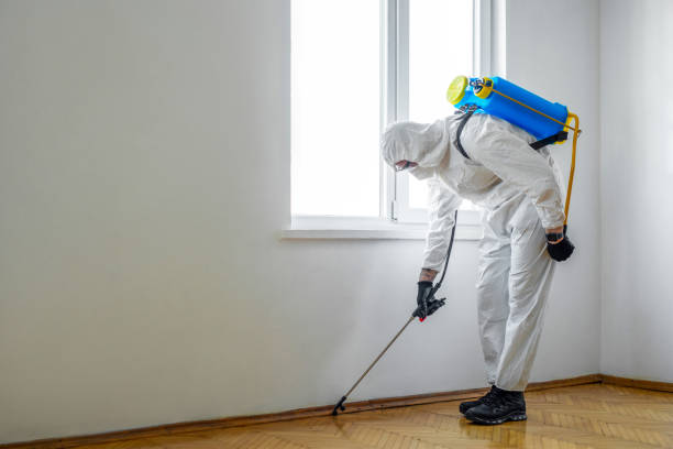 Best Wasp Removal Services  in Brewster Heights, NY