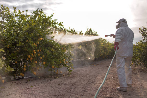 Best Best Pest Control Companies  in Brewster Heights, NY