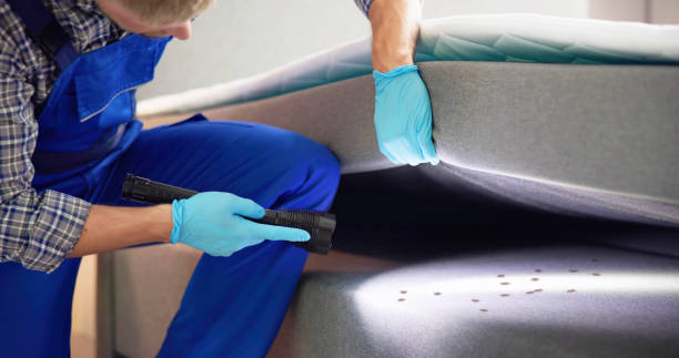 Trusted Brewster Heights, NY Pest Control Experts