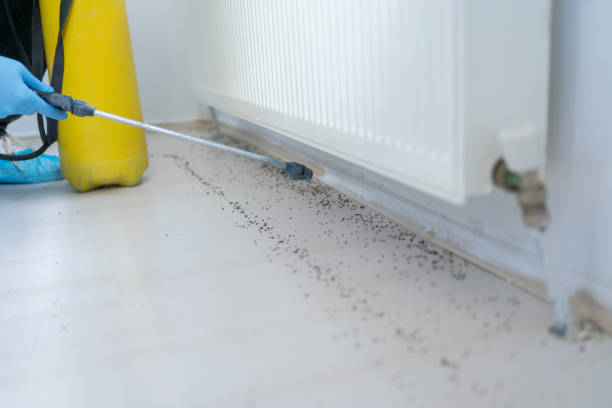 Best Commercial Pest Control Services  in Brewster Heights, NY