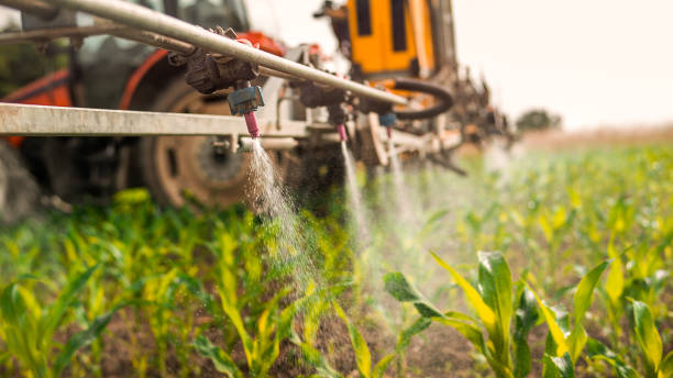 Best Mosquito Control Services  in Brewster Heights, NY